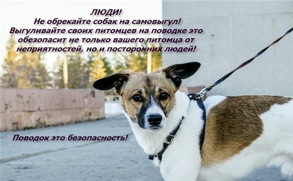 Открыть оригинальное изображение