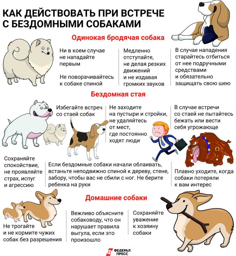 Открыть оригинальное изображение