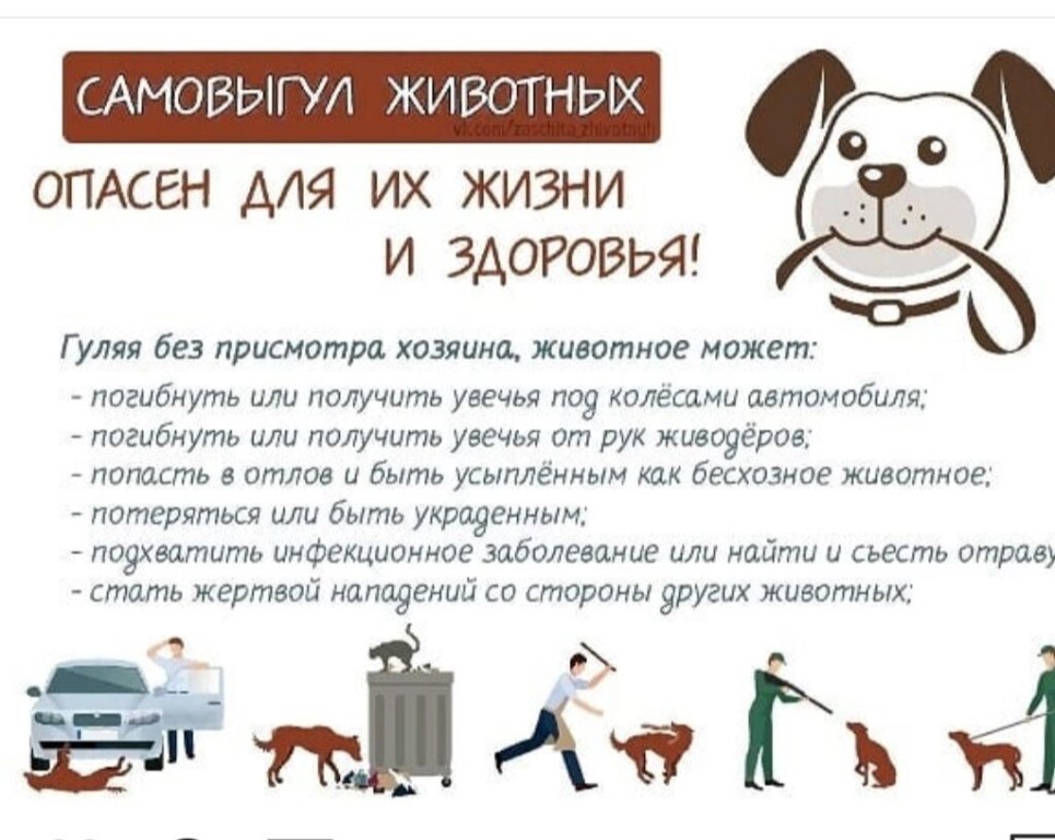 Открыть оригинальное изображение