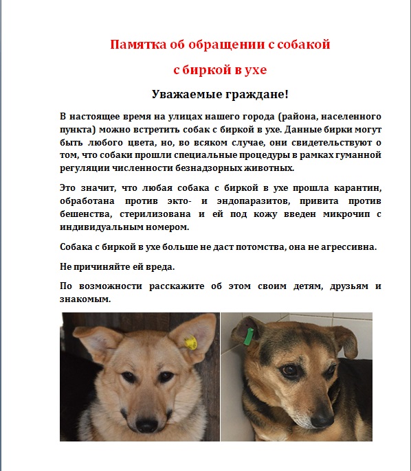 Открыть оригинальное изображение