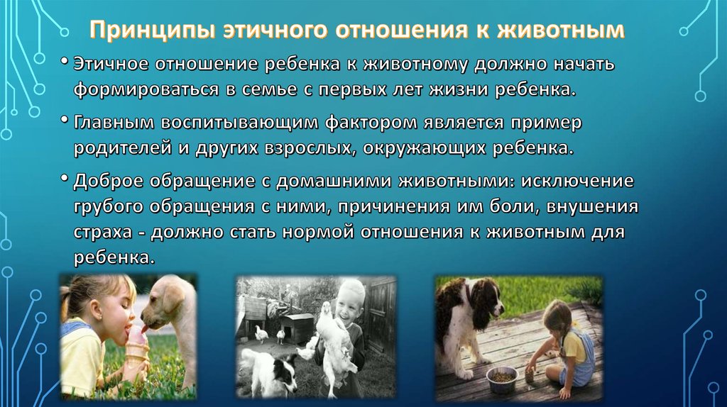 Открыть оригинальное изображение