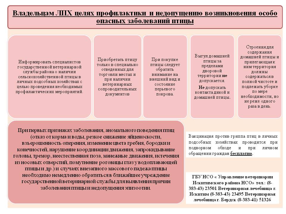 Открыть оригинальное изображение