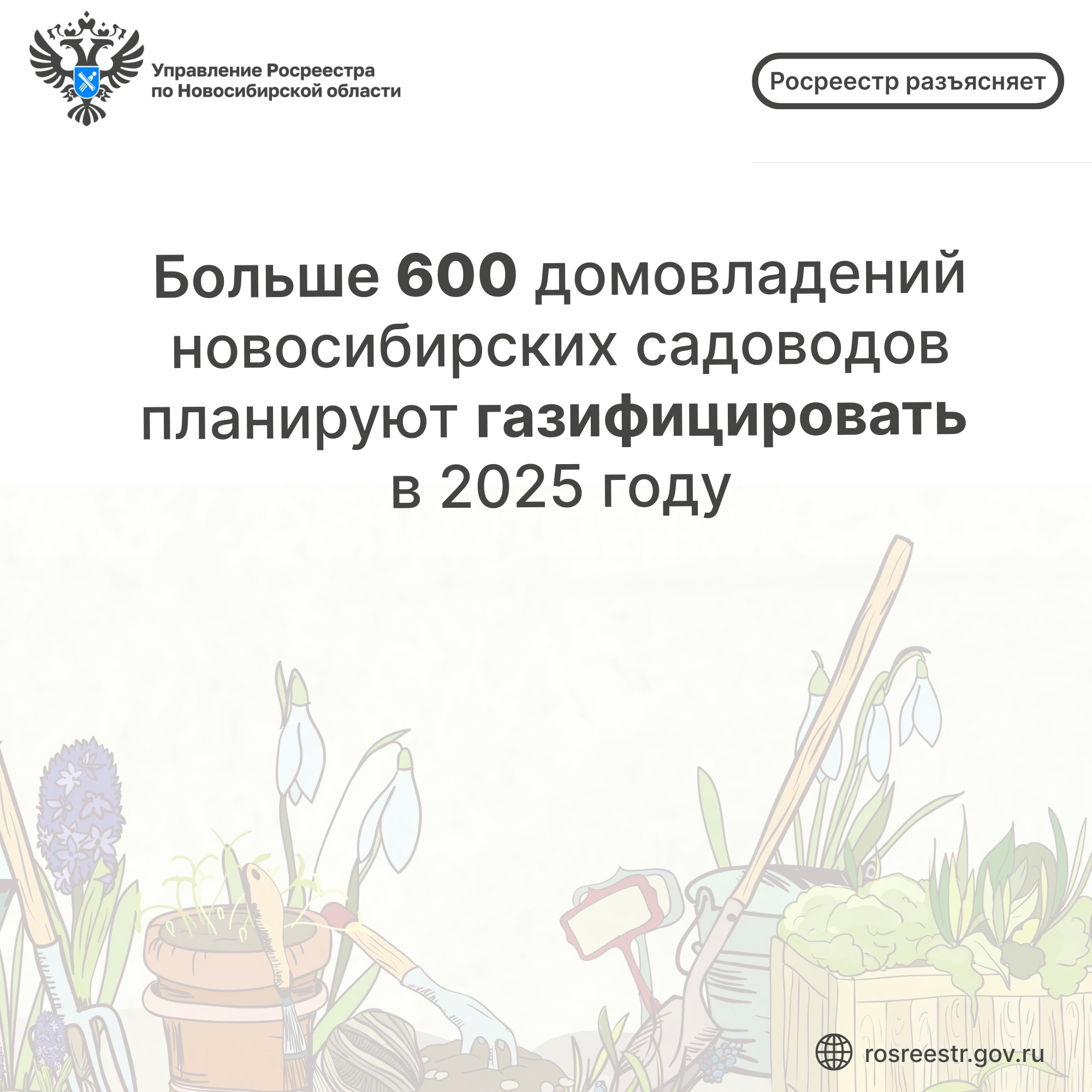 Открыть оригинальное изображение