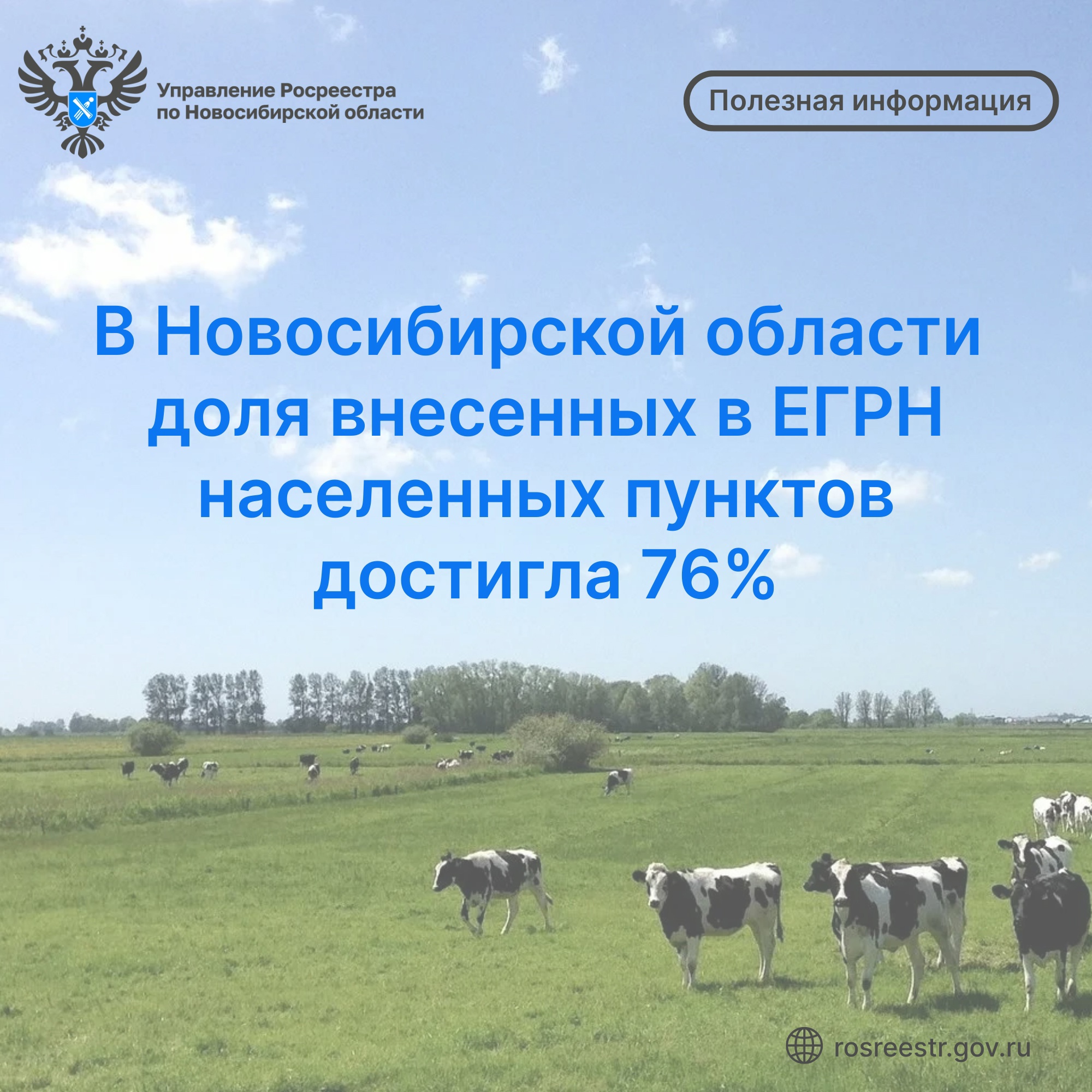 Открыть оригинальное изображение
