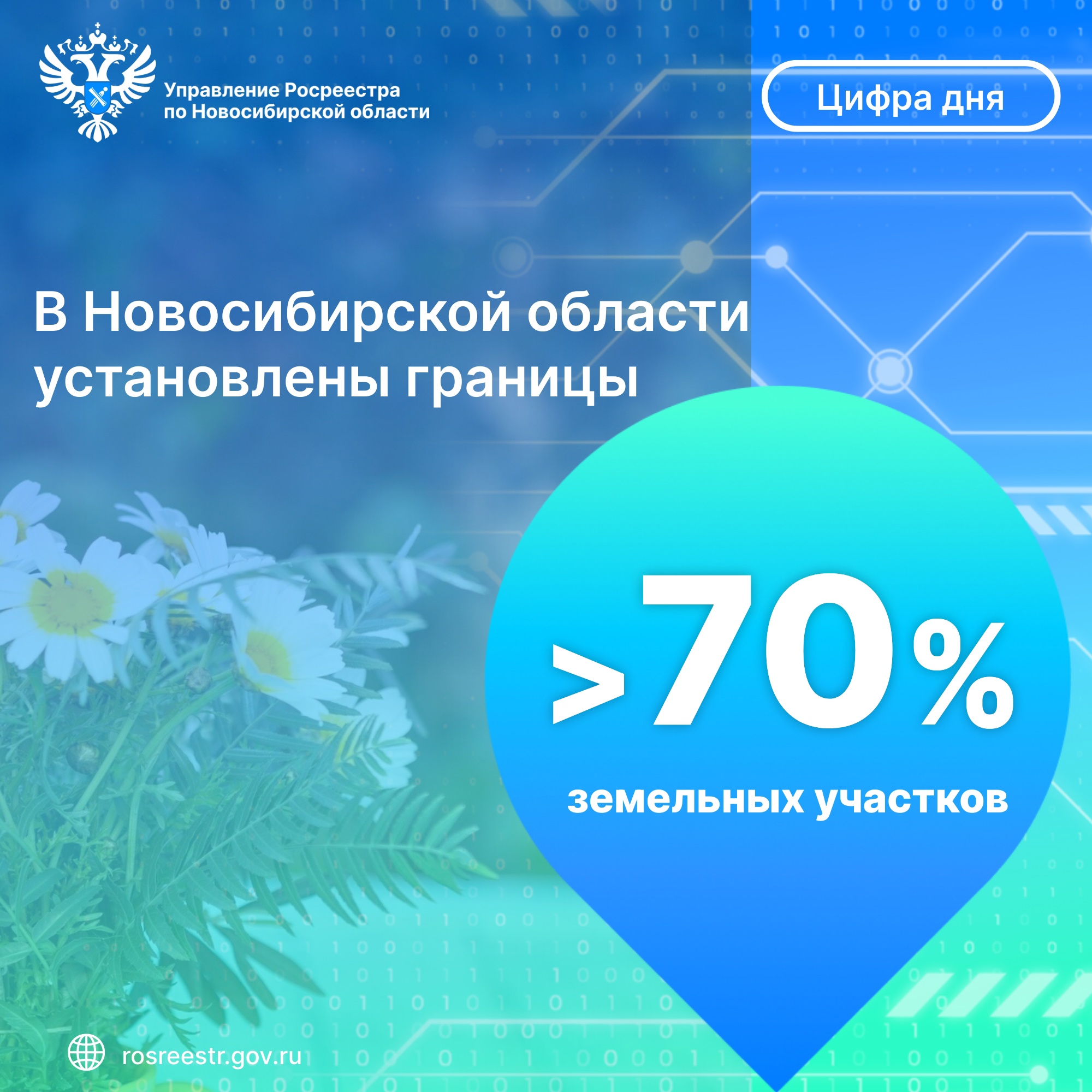 Открыть оригинальное изображение