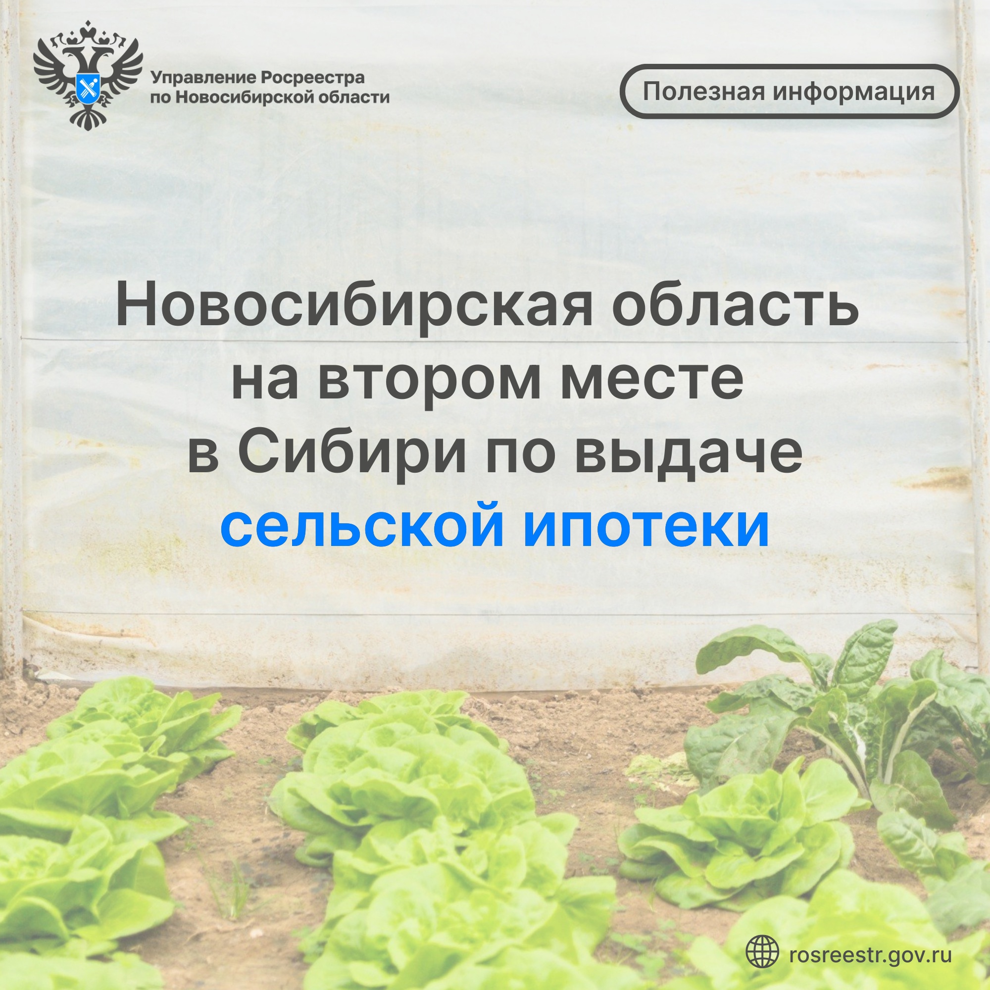 Открыть оригинальное изображение