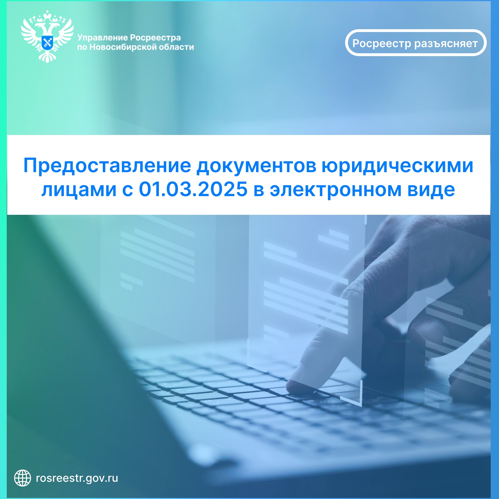 Открыть оригинальное изображение