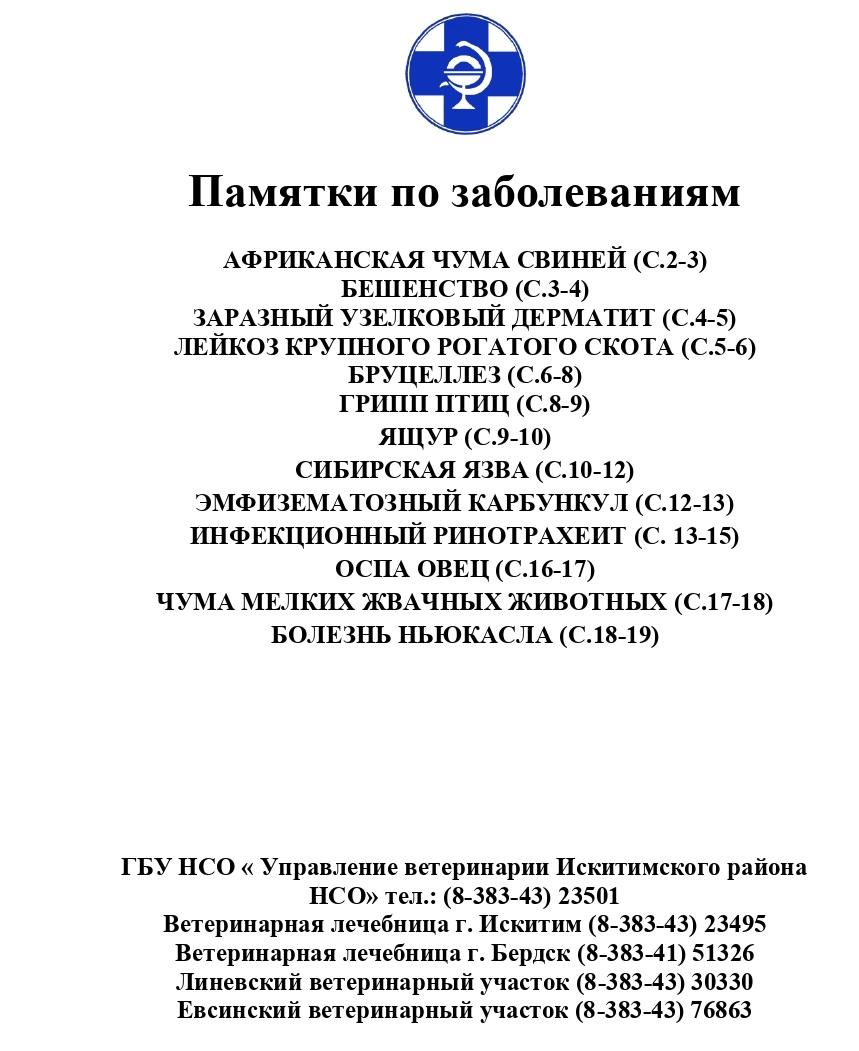 Открыть оригинальное изображение