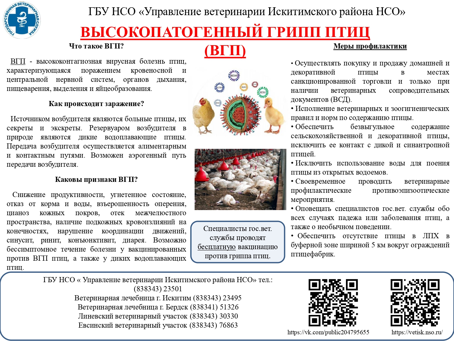 Открыть оригинальное изображение